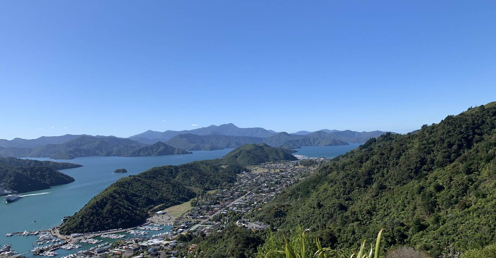 The Sounds viewed across the water