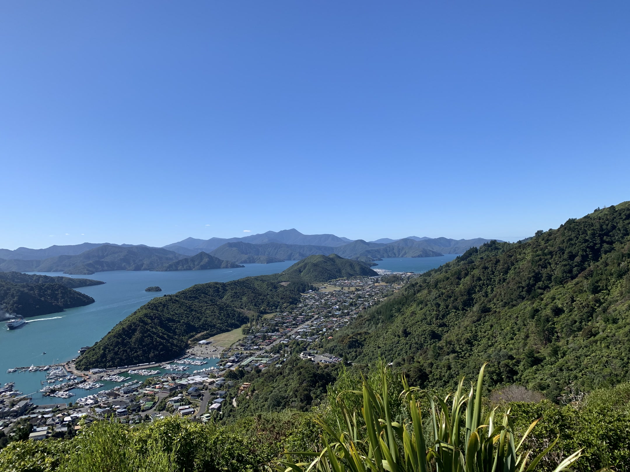 A high view over Picton / Waitohi and the Marlborough Sounds