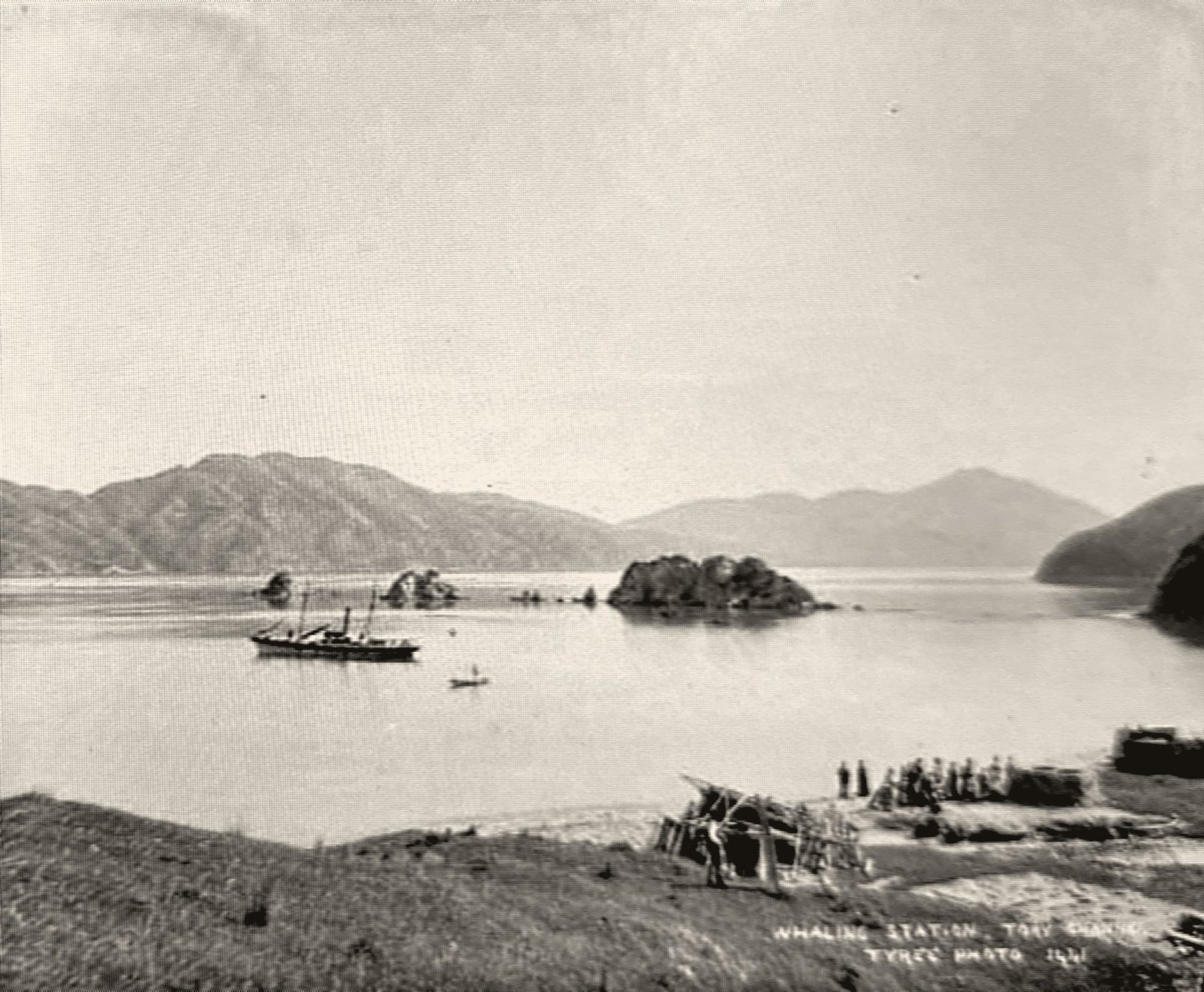 Whaling station, Tory Channel, Tyree photo 1441