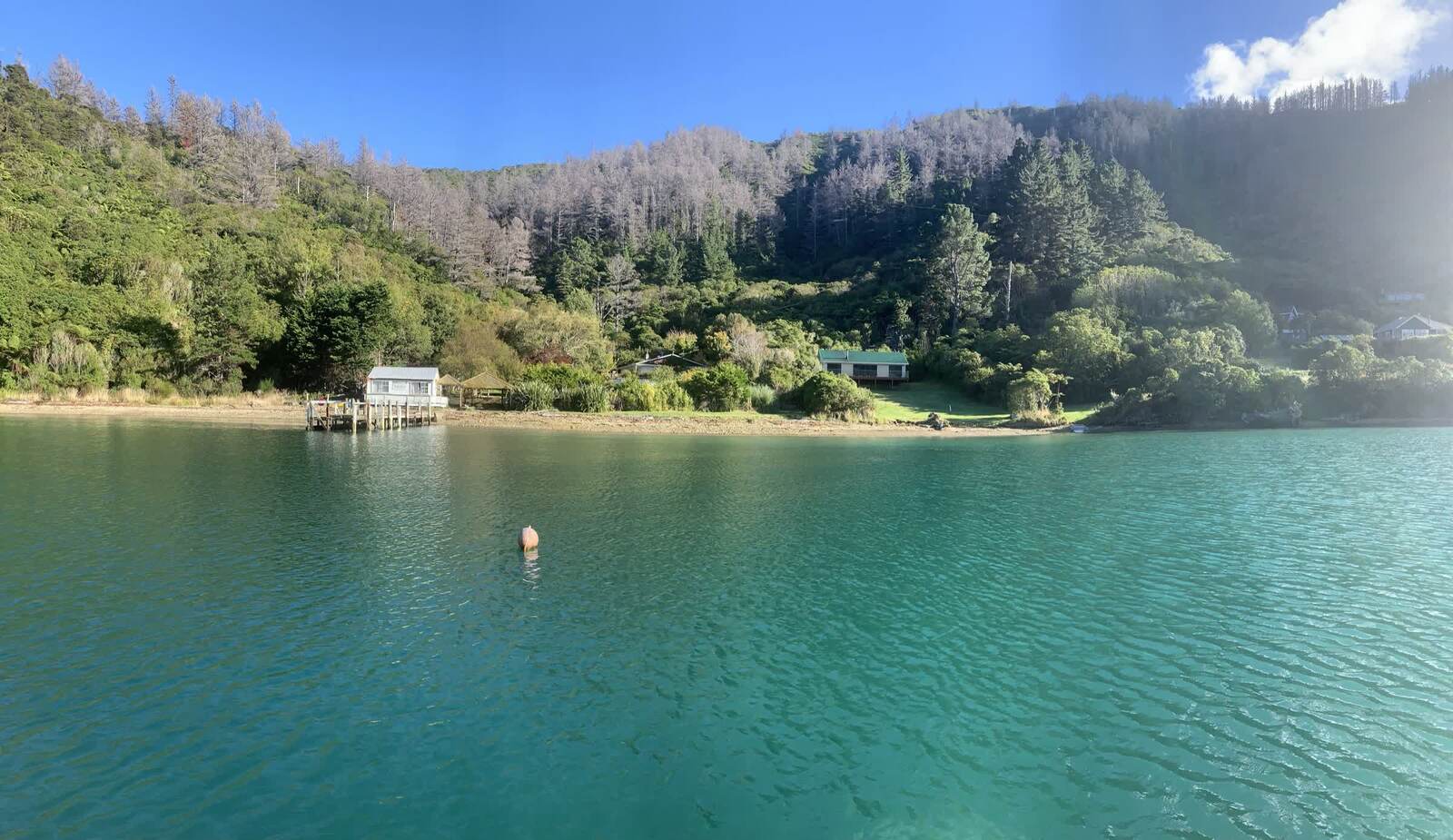 The Marlborough coast