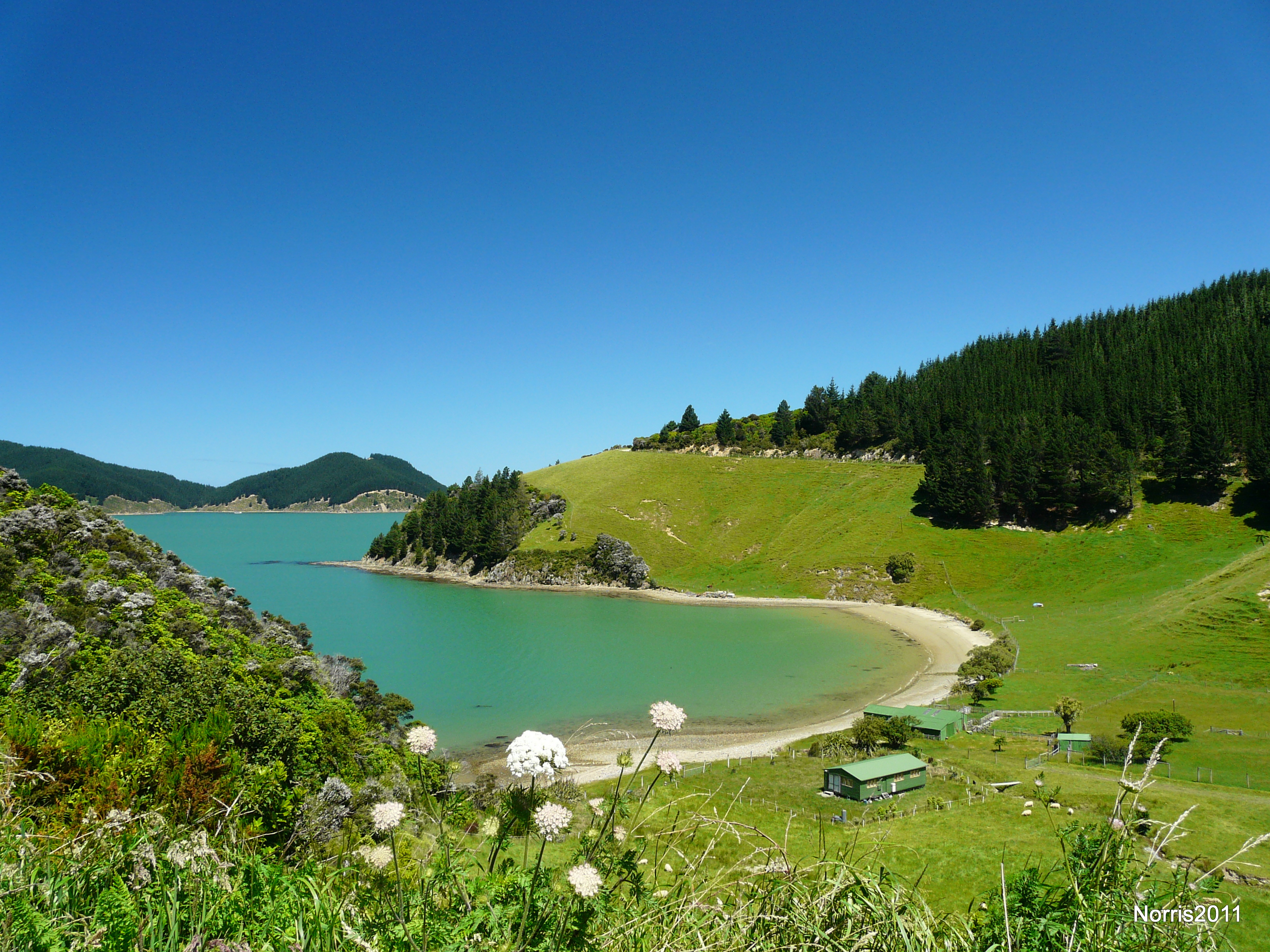 Kākāpō Bay seen across a grassy slope towards its curved beach; this is a different bay from Ocean Bay in the Christmas account.